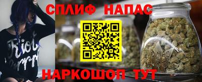 сатива Рыбинск