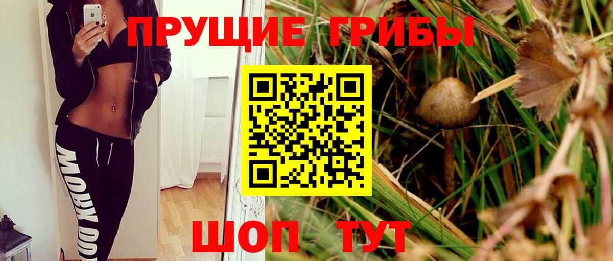цены   Вход с VPN  Асино  Галлюциногенные грибы Psilocybe 